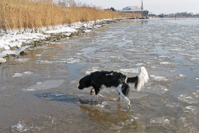 Sipke vindt ijs in de rivier