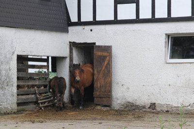 Hallo, wie is daar?