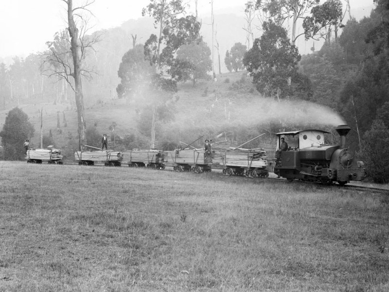 Steam Train hauling logs