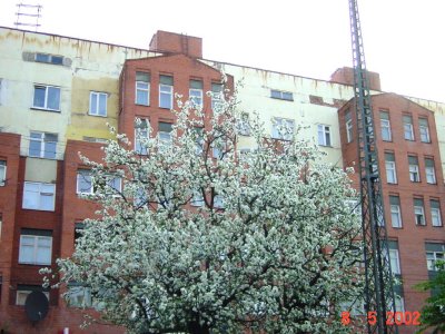 89.jpg