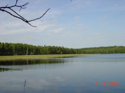 99.jpg