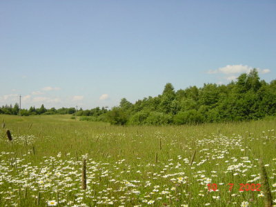 117.jpg