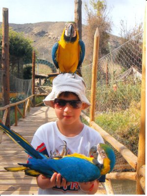 Tenerife-2