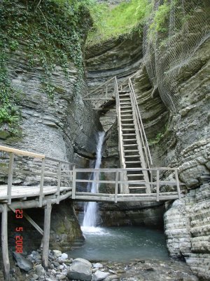 46.jpg