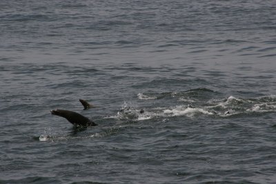 IMG_5114.jpg