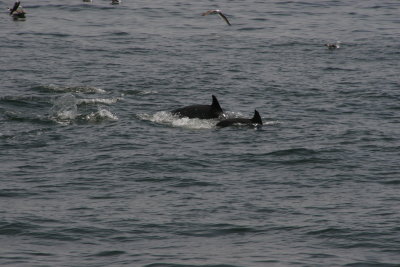 IMG_5170.jpg
