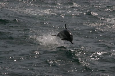 IMG_5522.jpg