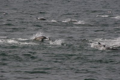 IMG_5586.jpg