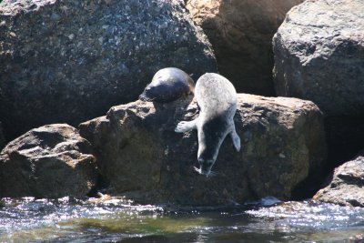 2010 August 110 - Copy.JPG