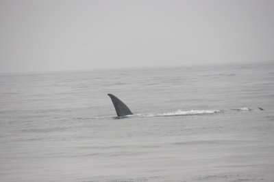2010 August 264 - Copy.JPG
