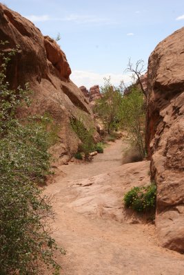 Arches