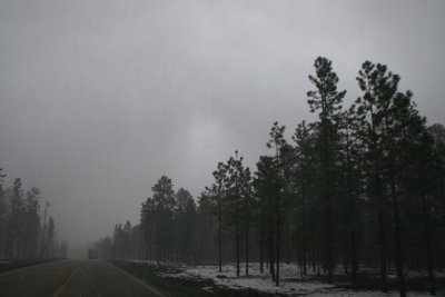 Snow in April