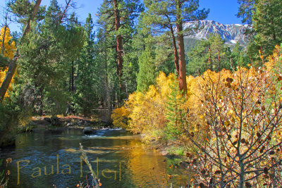 Autumn Sierra creek