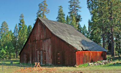 Foresta Barn