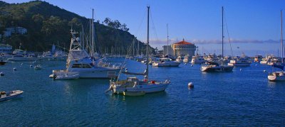 Harbor Catalina