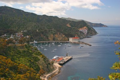 Catalina