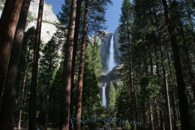 Yosemite falls