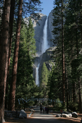Yosemite Falls_7569