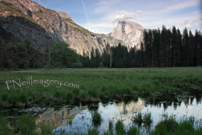 Halfdome from meadow