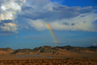 Desert Rainbow1