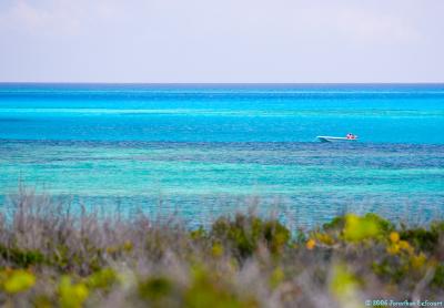 Fisherman Over The Reef