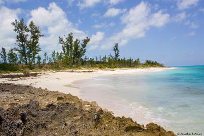 Beach on Green Turtle Cay