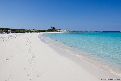 Beach on Compass Cay