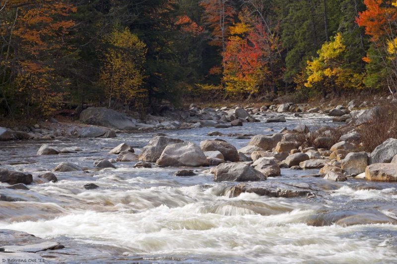 Kancamagus River, NH