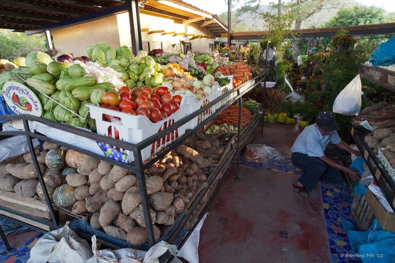 Saturday Market