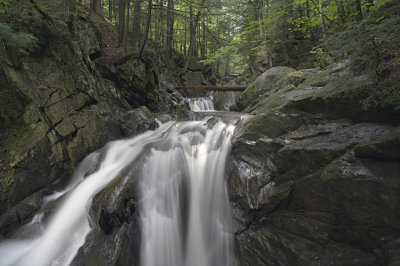 Mid Honey Hollow Falls