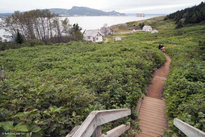 Trail from boat launch