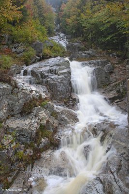 Silver and Flume Cascade (NH)