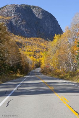 Grands-Jardins National Park, QC