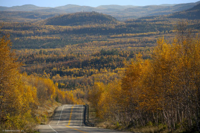 Grands-Jardins National Park, QC