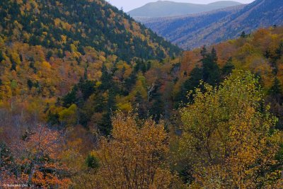 Crawford Notch, White Mountains, NH