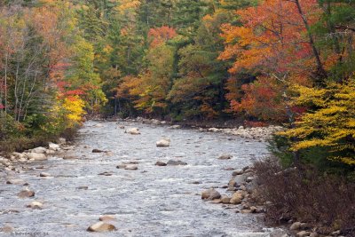 Kancamagus River, NH