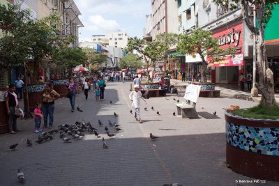 Shops along Avenida Central