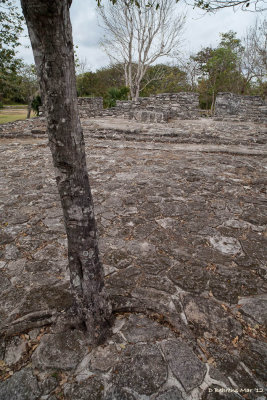San Gervasio Mayan.jpg