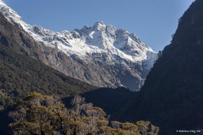 On the road to Milford Sound2.jpg