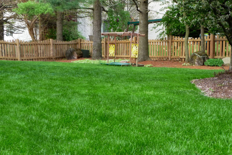 Spring 2012
