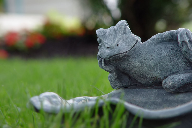 Bird Bath