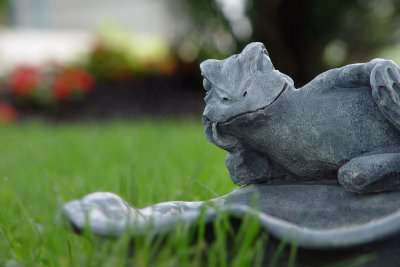 Bird Bath