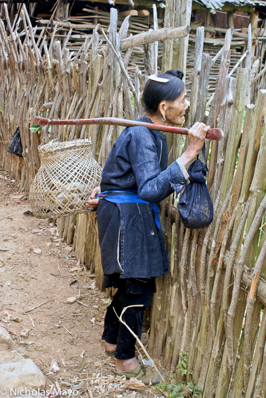 China (Guizhou) - Peering Through The Fence