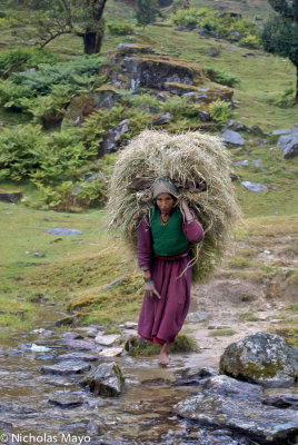 India (Uttarakhand) - Crossing The Stream With Fodder