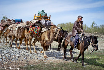 China (Xinjiang) - Camel Train