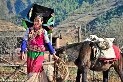 China (Yunnan) - Leading The Horse