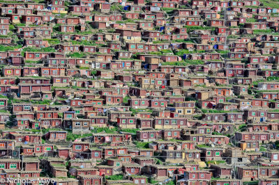 China (Sichuan) - Monks' Housing At Larung Gar