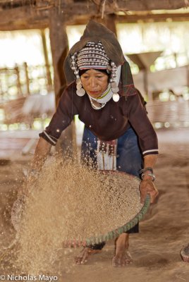 Burma (Shan State) - Akha Woman Winnowing Rice