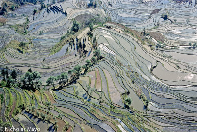 China (Yunnan) - Fantastic Terraces