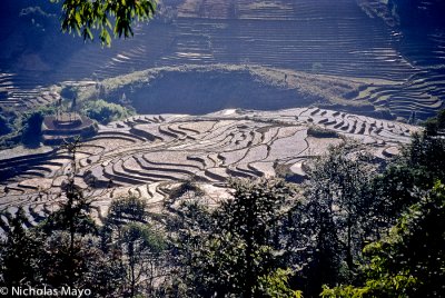 China (Yunnan) - Glistening Terraces At Dusk